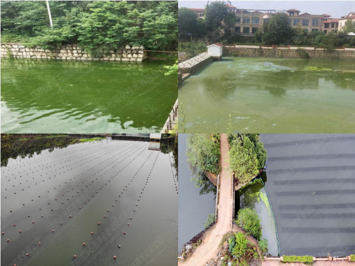 水質提升-湖南省長沙市楚家湖