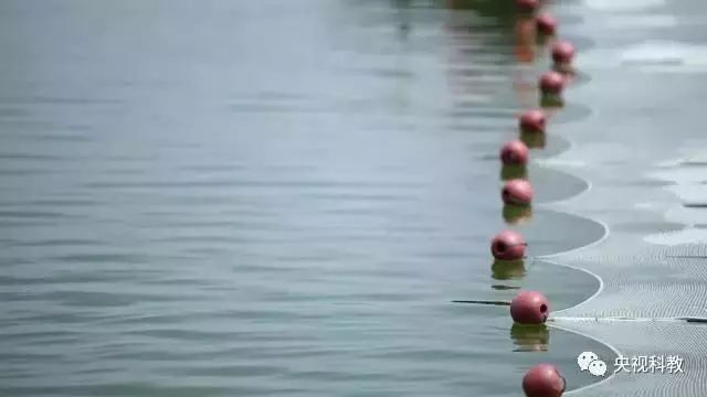 央視聚焦<a href=http://www.r1lxrhg.cn target=_blank class=infotextkey>雙良</a><a href=http://www.r1lxrhg.cn target=_blank class=infotextkey>新型光催化</a>“走進(jìn)科學(xué)”