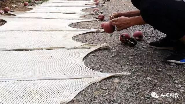 央視聚焦<a href=http://www.r1lxrhg.cn target=_blank class=infotextkey>雙良</a><a href=http://www.r1lxrhg.cn target=_blank class=infotextkey>新型光催化</a>“走進(jìn)科學(xué)”