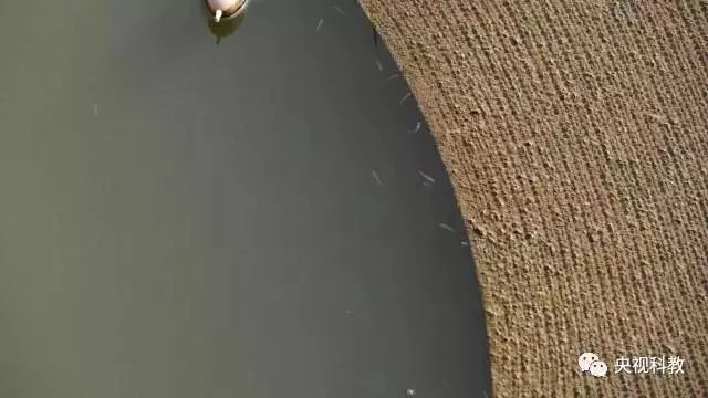 央視聚焦<a href=http://www.r1lxrhg.cn target=_blank class=infotextkey>雙良</a><a href=http://www.r1lxrhg.cn target=_blank class=infotextkey>新型光催化</a>“走進(jìn)科學(xué)”