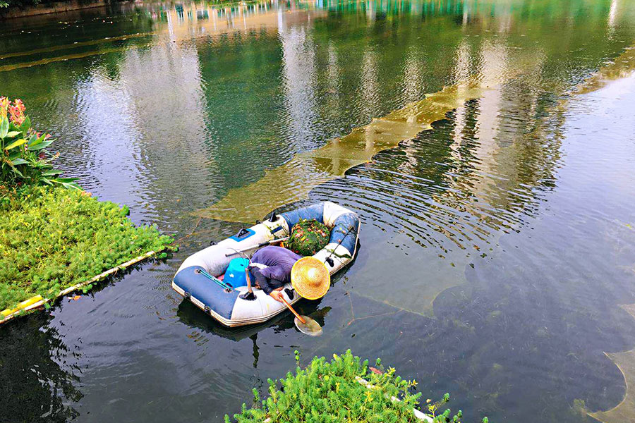 廣東省深圳市辛養(yǎng)魚塘-<a href=http://www.r1lxrhg.cn target=_blank class=infotextkey>水生態(tài)修復</a>示范項目