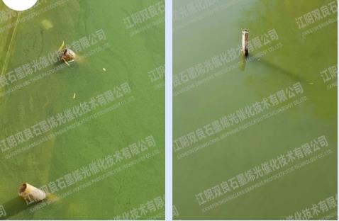 杭州西溪濕地水環(huán)境治理項(xiàng)目（一期）污水管網(wǎng)改造工程招標(biāo)