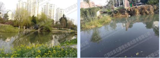 鎮(zhèn)江市潤州區(qū)頭道<a href=http://www.r1lxrhg.cn target=_blank class=infotextkey>河道治理</a>