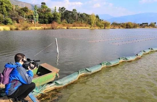 且看這個“不簡單的網(wǎng)”如何改善大理洱源<a href=http://www.r1lxrhg.cn target=_blank class=infotextkey>水生態(tài)修復(fù)</a>環(huán)境