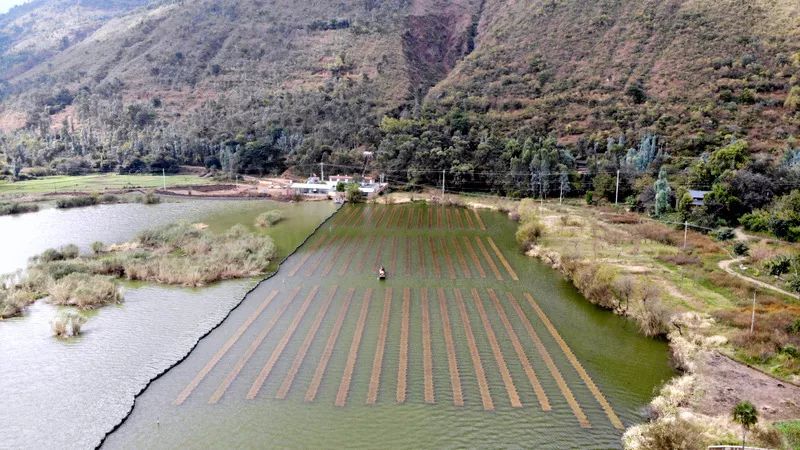 江蘇雙良新型光催化用大自然的力量修復大自然