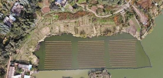 且看這個“不簡單的網(wǎng)”如何改善大理洱源<a href=http://www.r1lxrhg.cn target=_blank class=infotextkey>水生態(tài)修復(fù)</a>環(huán)境