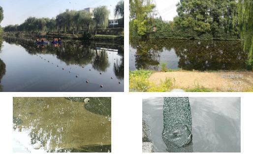 江陰市濱江河黑臭水體<a href=http://www.r1lxrhg.cn target=_blank class=infotextkey>河道治理</a>