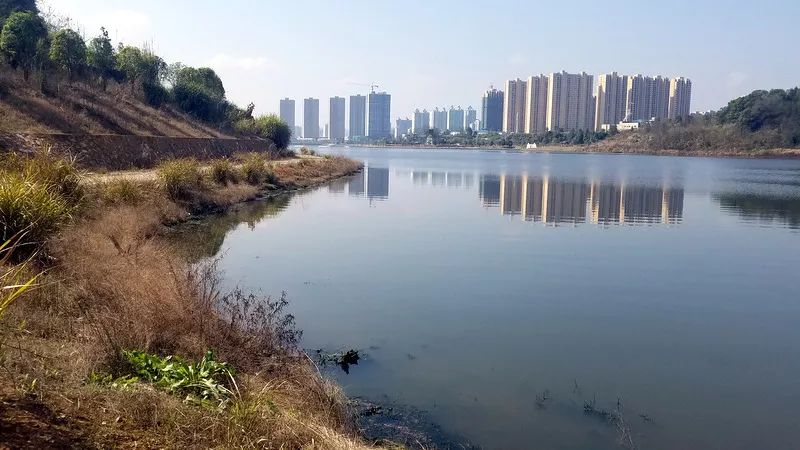 長興湖水<a href=http://www.r1lxrhg.cn target=_blank class=infotextkey>水環(huán)境治理</a>