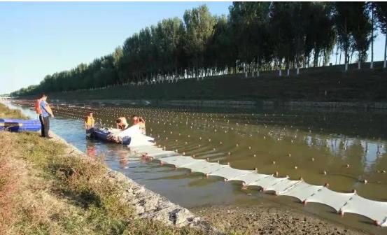 通州鳳港減河請來新型<a href=http://www.r1lxrhg.cn target=_blank class=infotextkey>雙良</a>光催化專門治水體