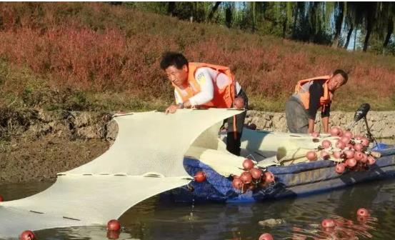 <a href=http://www.r1lxrhg.cn target=_blank class=infotextkey>雙良</a>光催化為通州鳳港減河專門治水體