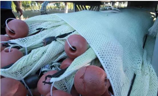 <a href=http://www.r1lxrhg.cn target=_blank class=infotextkey>雙良</a>光催化為通州鳳港減河專門治水體