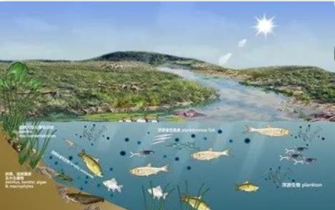 水生態(tài)評價標(biāo)準和綜合評級辦法的實施