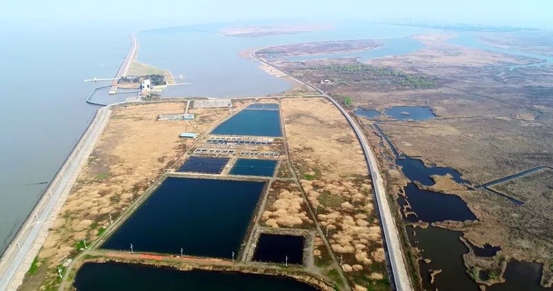 中國(guó)第一大城市飲用水<a href=http://www.r1lxrhg.cn/yysyd/ target=_blank class=infotextkey>水源地治理</a>技術(shù)突破