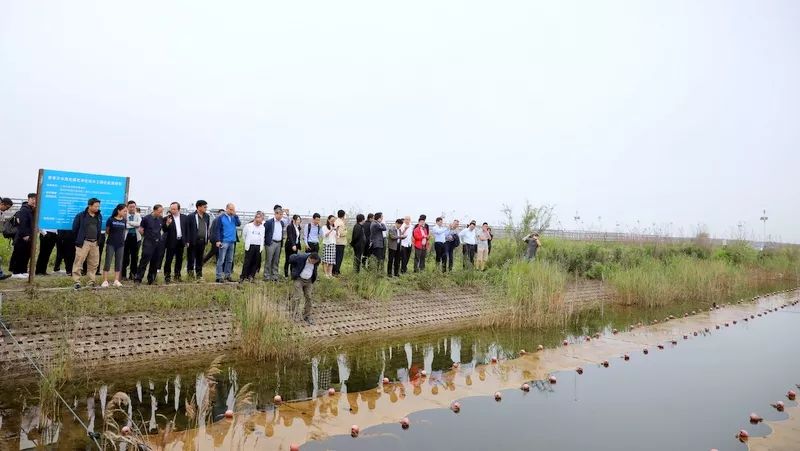 中國(guó)第一大城市飲用水<a href=http://www.r1lxrhg.cn/yysyd/ target=_blank class=infotextkey>水源地治理</a>技術(shù)突破