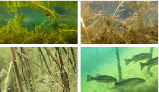 <a href=http://www.r1lxrhg.cn/yysyd/ target=_blank class=infotextkey>水源地治理</a>