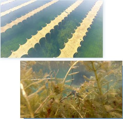 <a href=http://www.r1lxrhg.cn target=_blank class=infotextkey><a href=http://www.r1lxrhg.cn target=_blank class=infotextkey>雙良</a>環(huán)境</a><a href=http://www.r1lxrhg.cn target=_blank class=infotextkey>新型光催化</a>技術(shù)率先打響“抗生素戰(zhàn)役