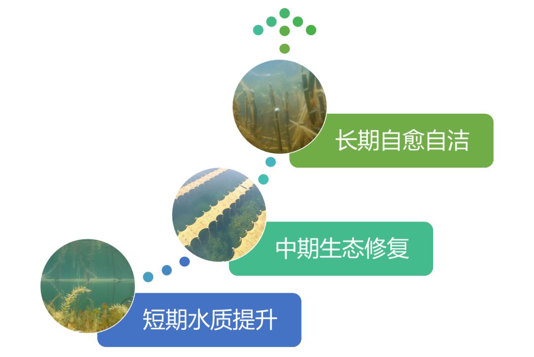 2020<a href=http://www.r1lxrhg.cn target=_blank class=infotextkey><a href=http://www.r1lxrhg.cn target=_blank class=infotextkey>雙良</a>環(huán)境</a>春招開啟