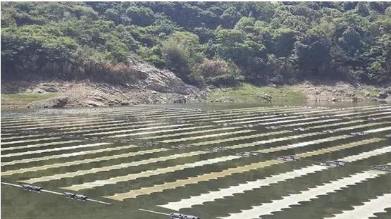 <a href=http://www.r1lxrhg.cn target=_blank class=infotextkey><a href=http://www.r1lxrhg.cn target=_blank class=infotextkey>雙良</a>環(huán)境</a><a href=http://www.r1lxrhg.cn target=_blank class=infotextkey>新型光催化</a>技術(shù)幫助嵊泗提升水庫水質(zhì)