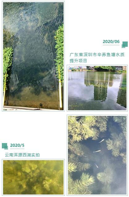 城市河流污染治理技術（二）