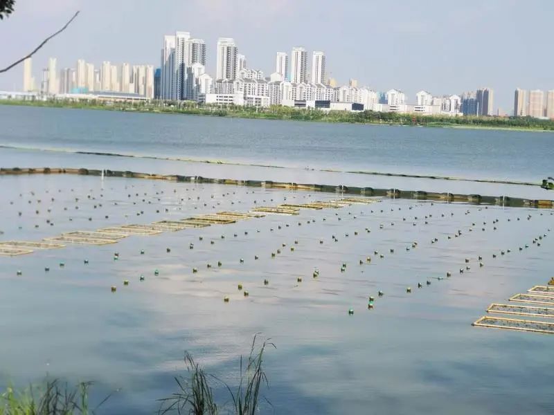 <a href=http://www.r1lxrhg.cn target=_blank class=infotextkey><a href=http://www.r1lxrhg.cn target=_blank class=infotextkey>雙良</a>環(huán)境</a>乘風(fēng)破浪的三石弟弟