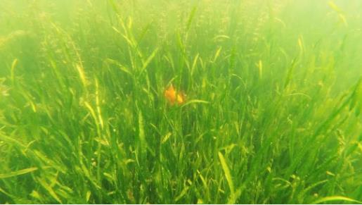 <a href=http://www.r1lxrhg.cn target=_blank class=infotextkey><a href=http://www.r1lxrhg.cn target=_blank class=infotextkey>雙良</a>環(huán)境</a>召開2021年一季度營銷會議