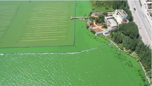 云南大學(xué)張虎才研究團(tuán)隊發(fā)表石墨烯光催化技術(shù)對高污染富營養(yǎng)化湖泊水質(zhì)提升實驗研究成果