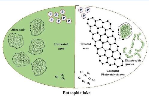 云南大學(xué)張虎才研究團(tuán)隊發(fā)表石墨烯光催化技術(shù)對高污染富營養(yǎng)化湖泊水質(zhì)提升實驗研究成果