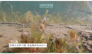 保護(hù)生物多樣性<a href=http://www.r1lxrhg.cn target=_blank class=infotextkey><a href=http://www.r1lxrhg.cn target=_blank class=infotextkey>雙良</a>環(huán)境</a>在行動(dòng)!