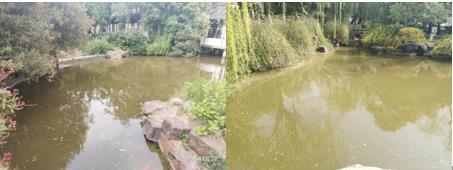 上海湖泊河道污染控制與修復中心