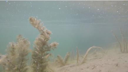 山水林田湖草生態(tài)保護修復工程指南