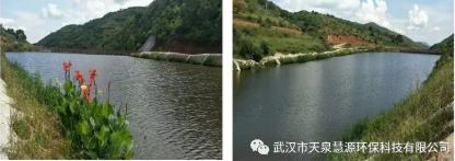 云南雙廊尾水塘庫水質(zhì)凈化工程