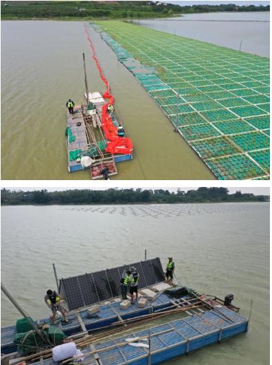 濕地水文變化驅(qū)動微生物群落、碳代謝活動和甲烷通量快速變化