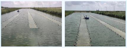 新聞轉(zhuǎn)載｜高原湖泊保護治理存在啥問題?