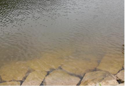 新聞轉(zhuǎn)載｜這些污染河道治理水環(huán)境修復(fù)的行為要被執(zhí)法部門盯上！