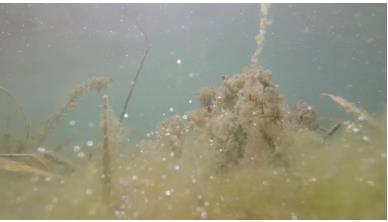 多地發(fā)布水環(huán)境治理項目，水利展重磅發(fā)布！