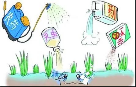 科普小課堂第55期丨農(nóng)業(yè)面源污染治理之化學農(nóng)藥減量